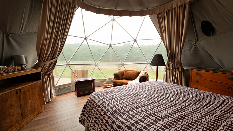 Clover geodome full interior