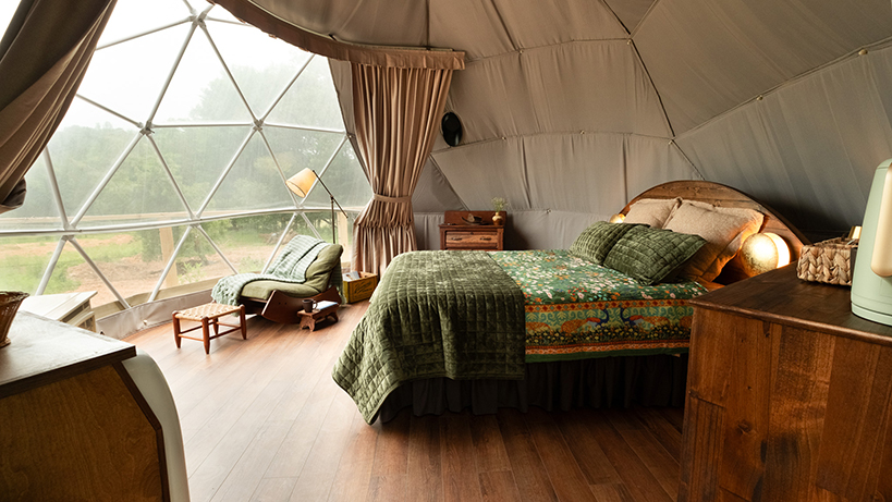 Moss geodome full interior